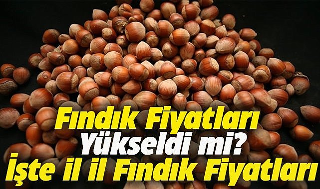 23 Kasım fındık fiyatları ne kadar?