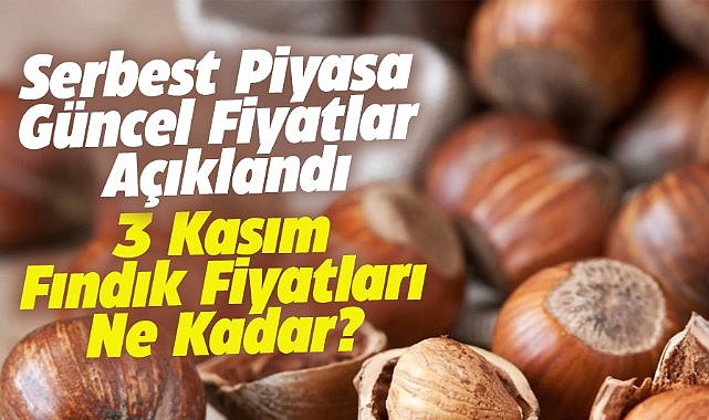 3 Kasım fındık fiyatları ne kadar?
