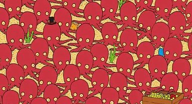 5 saniyede bulan zekasını kanıtlıyor! Ahtapotların arasında bir balık gizli