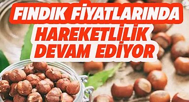 9 Kasım fındık fiyatları ne kadar?