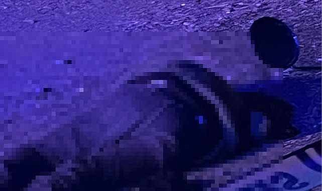 Arkadaşını silah kabzasıyla öldürdü