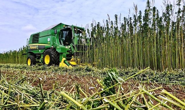 Bitki üretiminde Samsun öncü şehir oldu