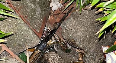 Eşini defalarca bıçaklayan cani koca yakalandı