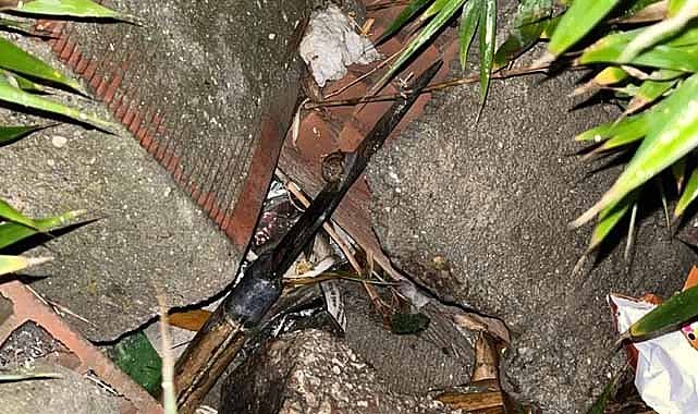 Eşini defalarca bıçaklayan cani koca yakalandı