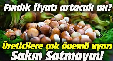 Fatsa Ticaret Borsası Başkanı Ali Feyzi'den fındık üreticisine çok önemli uyarı