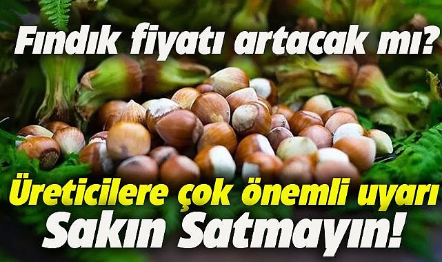 Fatsa Ticaret Borsası Başkanı Ali Feyzi'den fındık üreticisine çok önemli uyarı