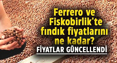 Ferrero ve Fiskobirlik fındık fiyatlarını güncelledi! Ferrero ve Fiskobirlik'te fındık fiyatlarını ne kadar?