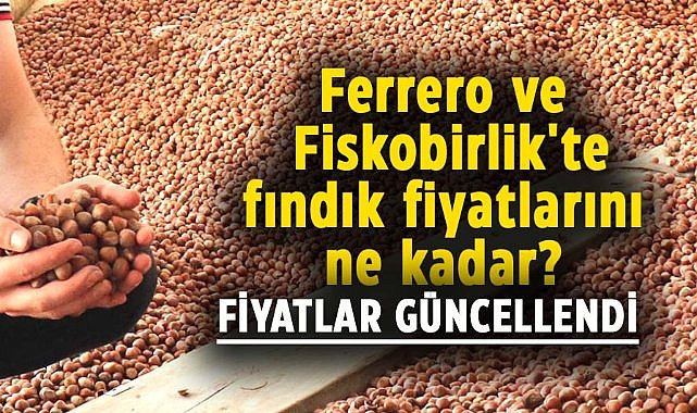 Ferrero ve Fiskobirlik fındık fiyatlarını güncelledi! Ferrero ve Fiskobirlik'te fındık fiyatlarını ne kadar?