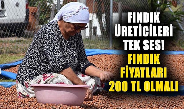 Fındık üreticileri tek ses! Fındık fiyatları 200 TL olmalı