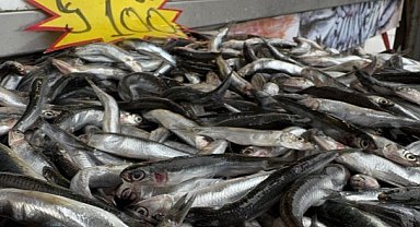 Fırtına dindi! Hamsi tezgaha düştü