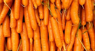 Paketli organik havuçlar raflardan kaldırılıyor: Bakteri tespit edildi! Koli basili nedir?