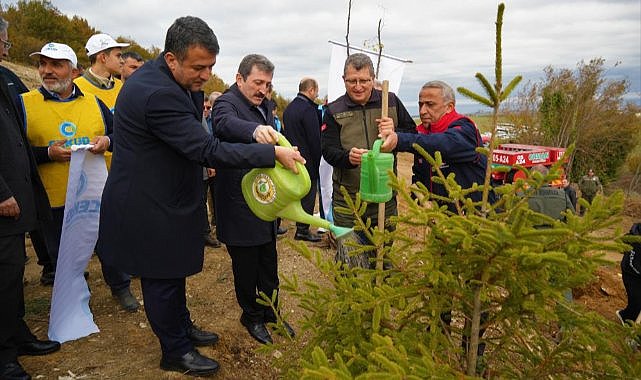 Samsun'da 100 bin fidan toprakla buluştu