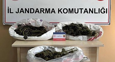 Samsun'da esrar ele geçirildi