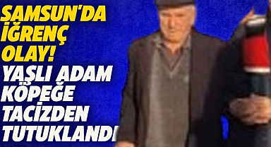 Samsun'da köpeğe cinsel saldırı! 76 yaşındaki adam tutuklandı