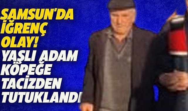 Samsun'da köpeğe cinsel saldırı! 76 yaşındaki adam tutuklandı