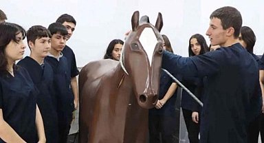 Samsun'da öğrenciler hayvan sağlığını öğreniyor