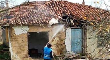 Samsun'da Tekkeköy Belediyesi kahverengi kokarcaya savaş açtı