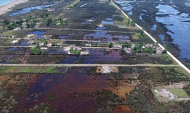 Samsun Kızılırmak Deltası'nda istilacı türler araştırılıyor