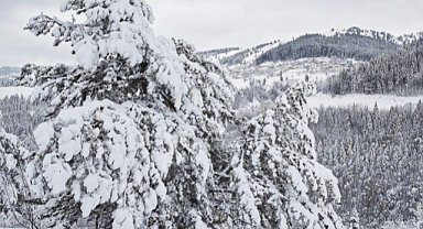 Samsun'un o ilçesi de beyaza büründü