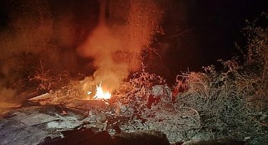 Sinop'ta orman yangını