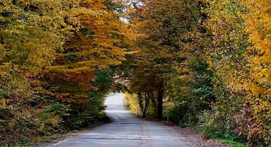 Sonbahar'ın renkleri Samsun'u süslüyor