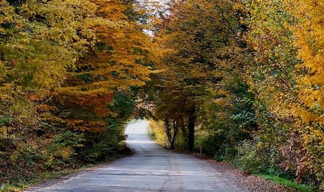 Sonbahar'ın renkleri Samsun'u süslüyor