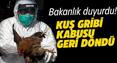 Tarım ve Orman Bakanlığı duyurdu! Kuş gribi geri döndü