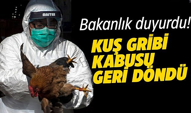 Tarım ve Orman Bakanlığı duyurdu! Kuş gribi geri döndü