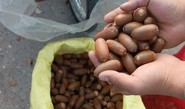 Tezgahta yerini aldı! İbrahim Saraçoğlu da öneriyor: Şeker hastalığına birebir faydalı!