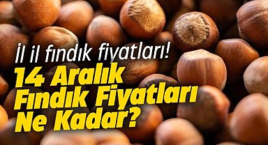 14 Aralık fındık fiyatları ne kadar?