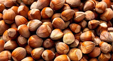 19 Aralık fındık fiyatları ne kadar?