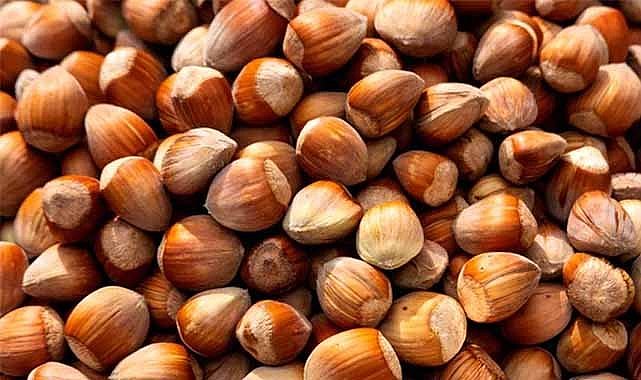 19 Aralık fındık fiyatları ne kadar?