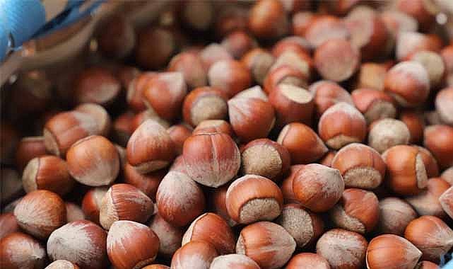 2 Aralık fındık fiyatları ne kadar?