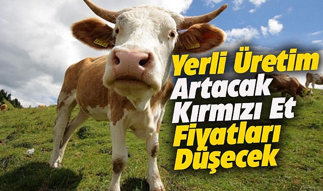 Bakan Yumaklı: Uygun fiyatlı kırmızı et sağlamayı hedefliyoruz