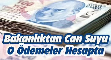 Bakanlık duyurdu! Destek ödemeleri hesaplarda