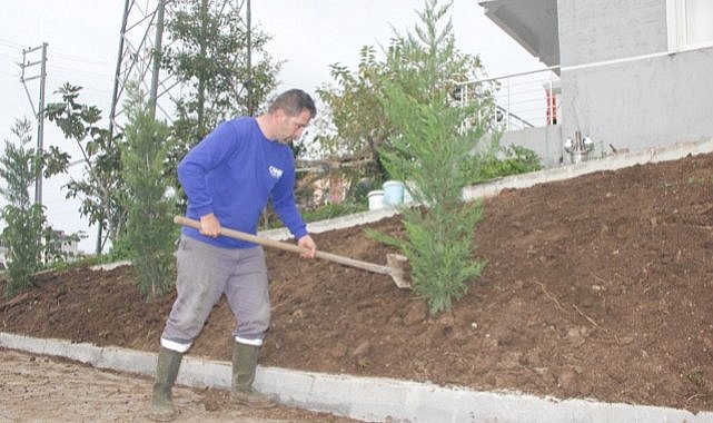Canik'te sıfır atık başarısı 33 bin 668 ağaç kurtarıldı