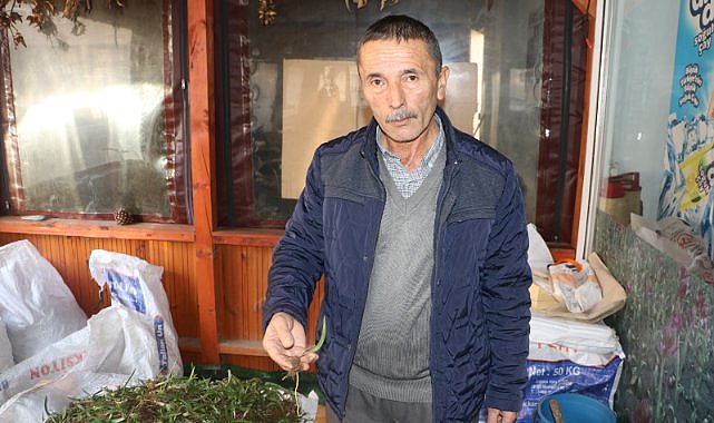 Doğanın hazinesi altınla yarışıyor; salep tozu 6 bin TL 