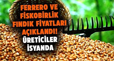 Ferrero ve Fiskobirlik fındık fiyatları açıklandı! Üreticiler isyanda