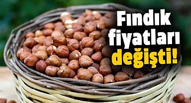 Fındık fiyatları değişti! İşte güncel fındık fiyatları