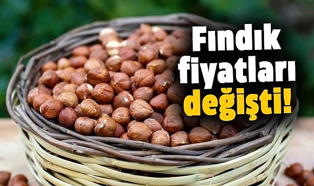 Fındık fiyatları değişti! İşte güncel fındık fiyatları