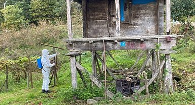 Fındık zararlısına karşı 17 bin noktaya ilaçlama