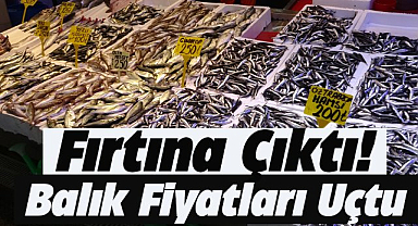 Fırtına balıkçıları vurdu! Hamsinin fiyatı 2 katına çıktı