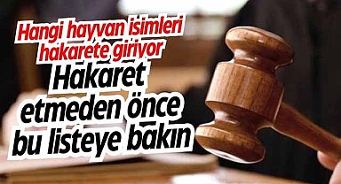 Hangi hayvan isimleri hakaret sayılıyor?