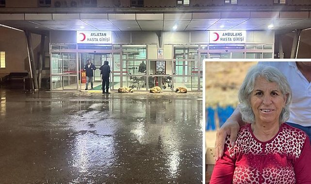 Korkunç olay! Beslediği boğanın saldırısında hayatını kaybetti