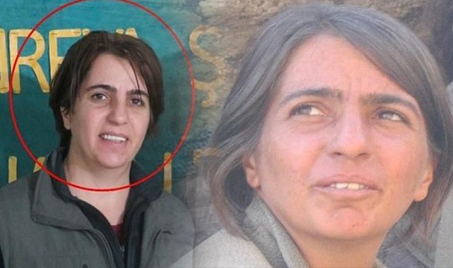 MİT'ten Kamışlı'da operasyon! Sözde bölge sorumlusu Yayla Kızılkaya öldürüldü