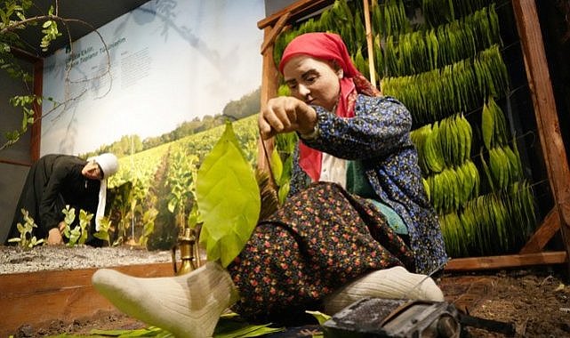 Samsun'da Avrupa'nın en iyi müzesi tarihe ışık tutuyor