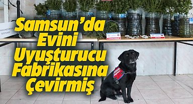 Samsun'da evini uyuşturucu fabrikasına çeviren kişi yakalandı