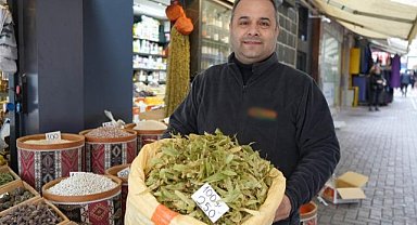 Samsun'da ıhlamur fiyatları cep yakıyor! Altınla yarışıyor