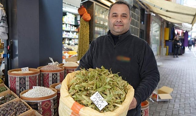 Samsun'da ıhlamur fiyatları cep yakıyor! Altınla yarışıyor