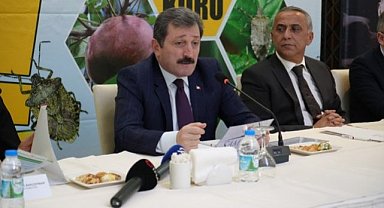 Samsun'da kahverengi kokarca ile mücadele devam ediyor